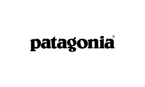 Top Brands-patagonia