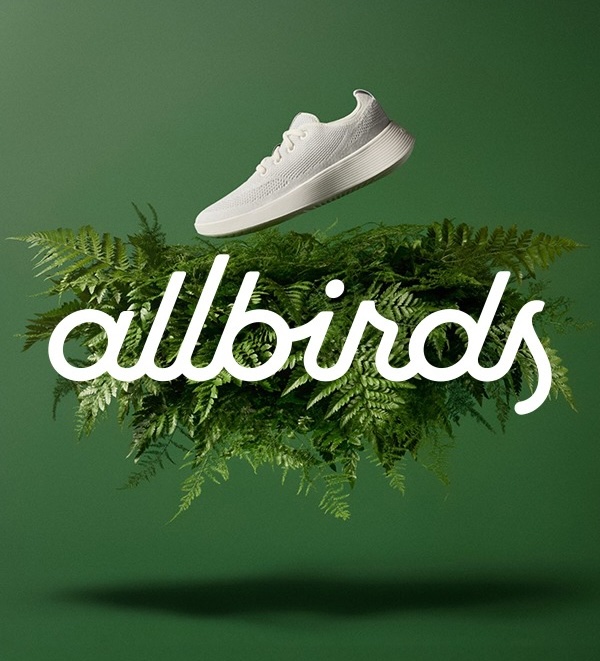 All birds logo on greenery, against a green background with a floating white allbirds tennis shoe
