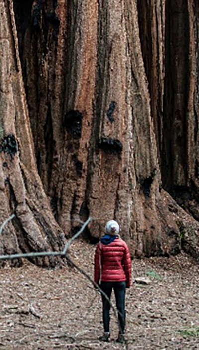 Patagonia Pack4Good Up