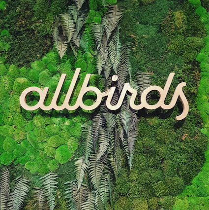 allbirds_logo All birds wood logo sign against a greenery backdrop