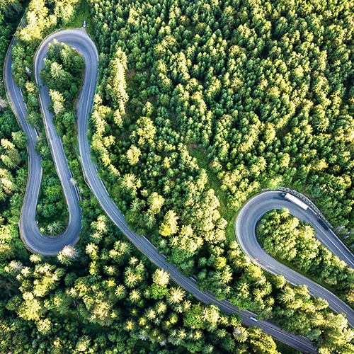 Choose Carbon Neutral Shipping, Boost Your Sustainability Goals